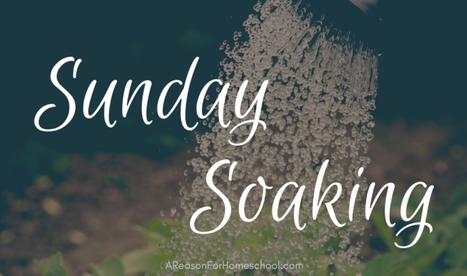 Sunday Soaking Glorify A Reason For Homeschool