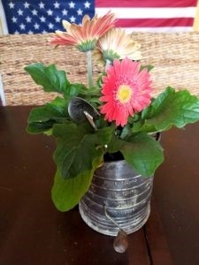 Flower Plant in Vintage Sifter Container
