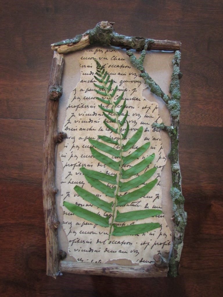 Pressed Fern Leaf in Twig Frame