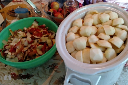 peeled cored apples for apple butter homeschool homeschooling