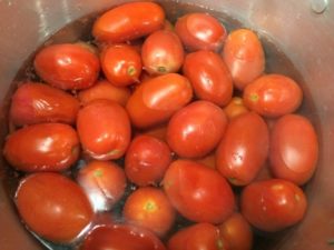 blanch tomatoes canning homeschooling homeschool
