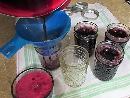 pouring  jelly into jars before canning homeschool homeschooling