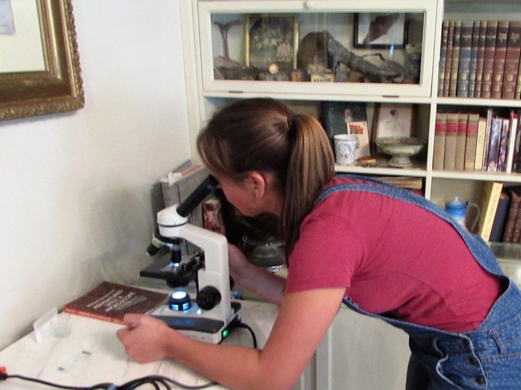 microscope homeschool homeschooling