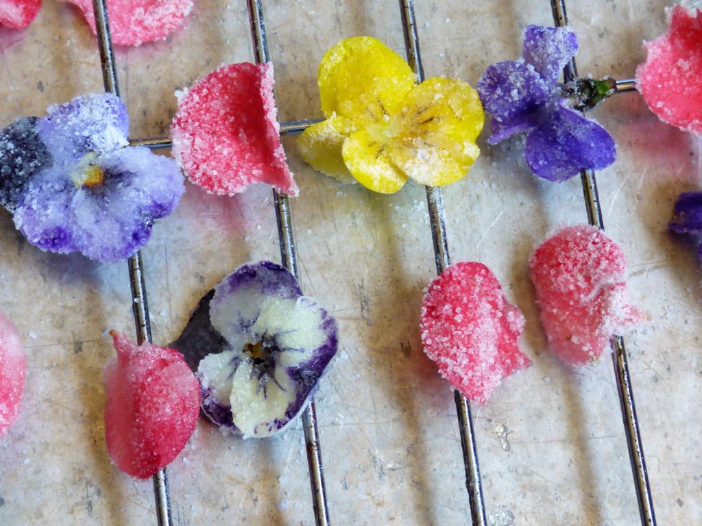 sugared blooms edible crystallized flowers