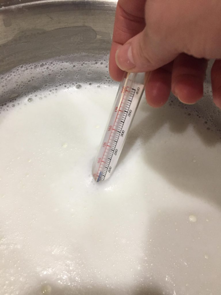 homemade yogurt dehydrator recipe 