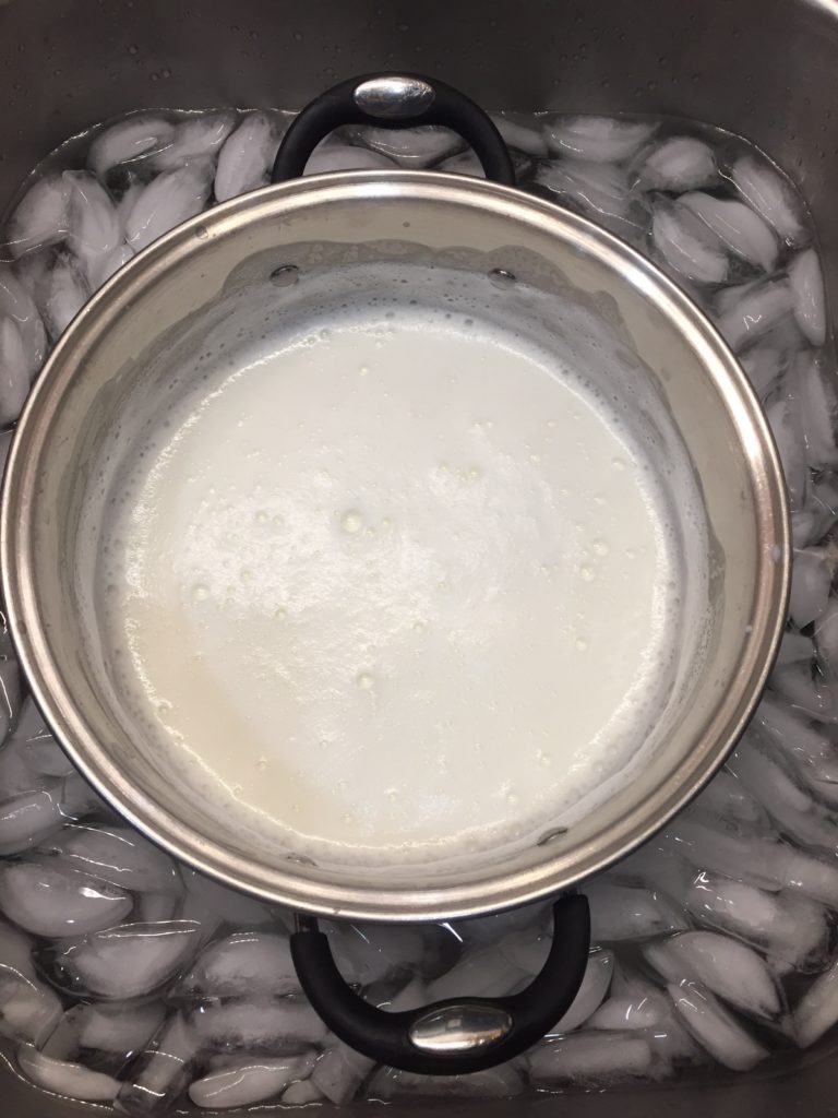 yogurt homemade at home recipe method 