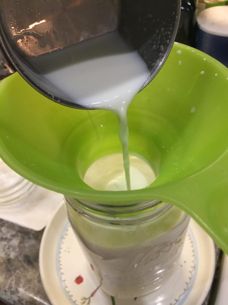 recipe yogurt homemade probiotics