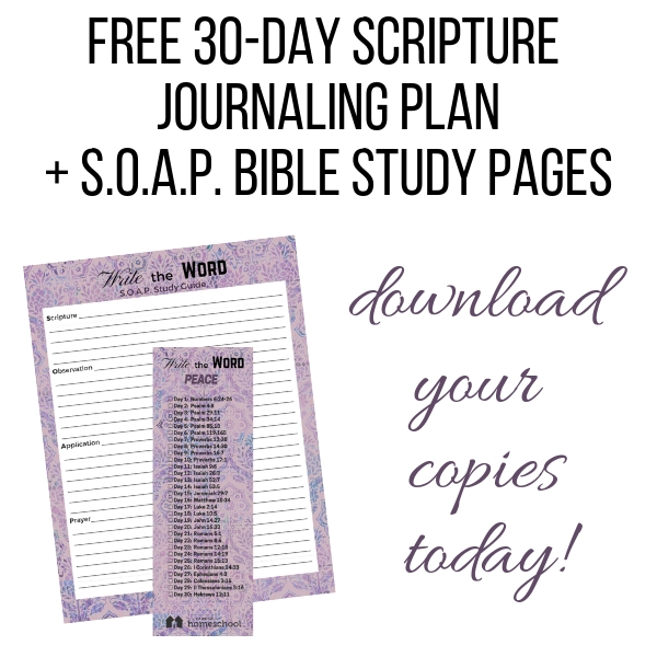 Peace Write The Word scripture journaling Bible