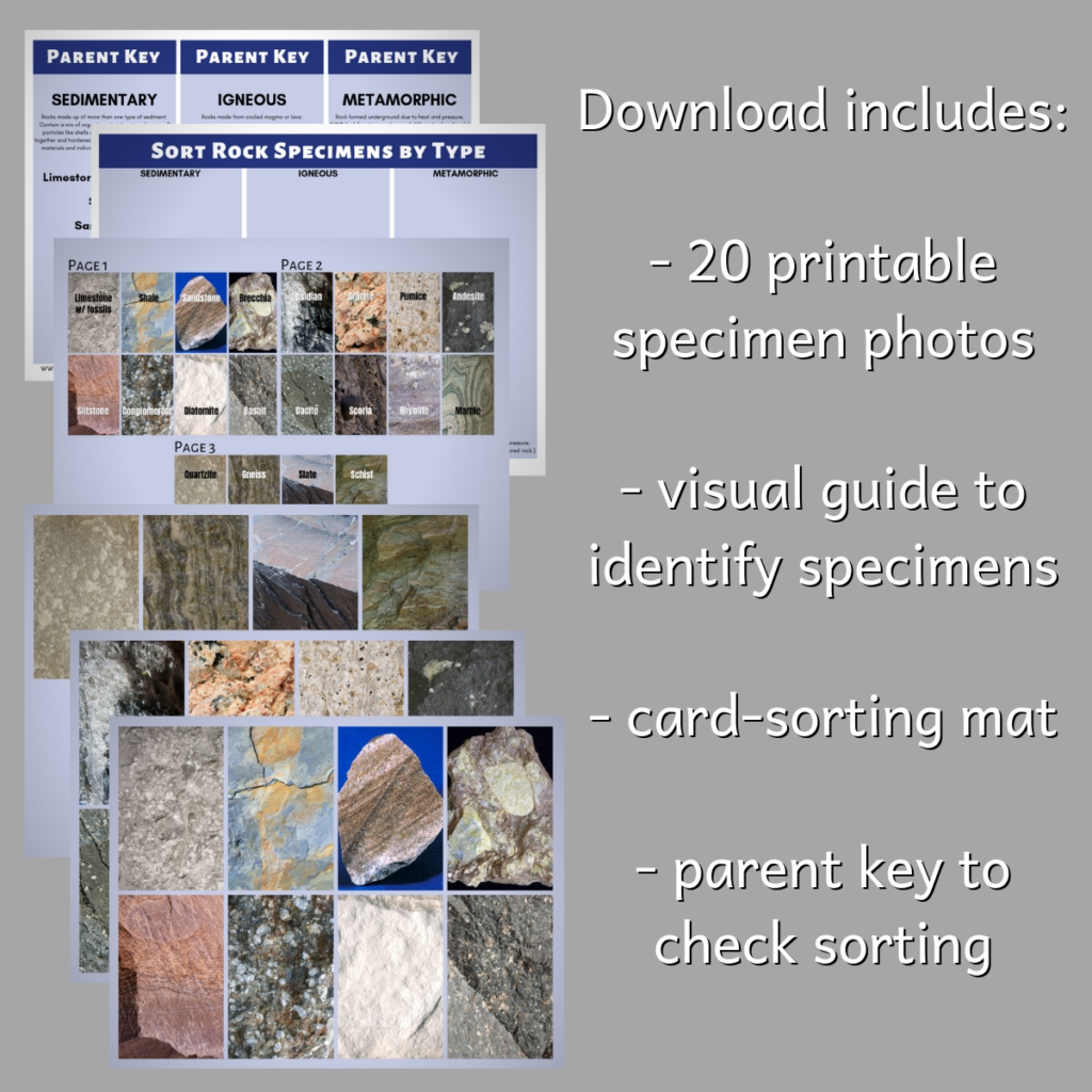 rock sorting identification printable free download homeschool homeshcooling