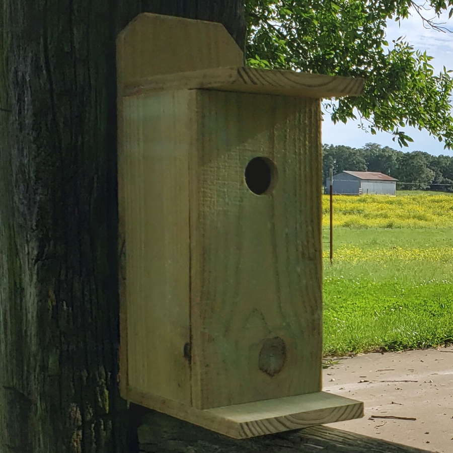 cedar birdhouse 