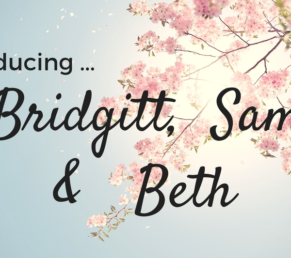 introducing Bridgitt Sam Beth Blog Contributors Authors