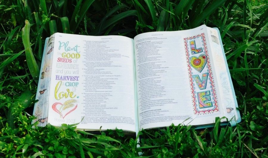 Illustrated Bible in Grass