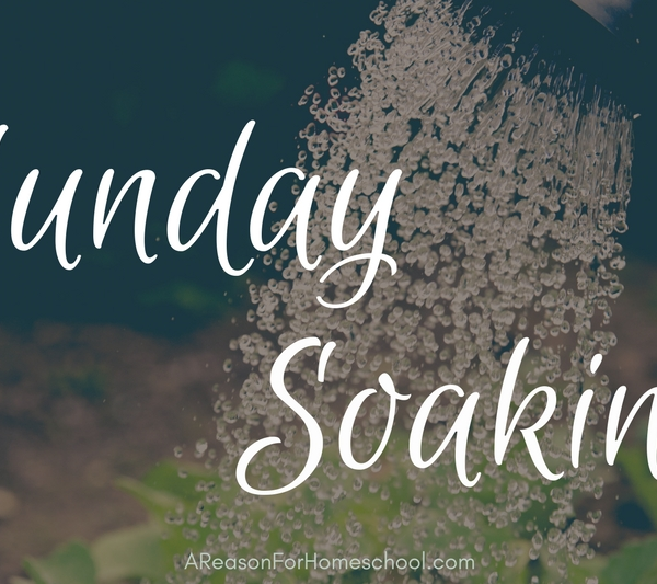 Sunday Soaking devotional