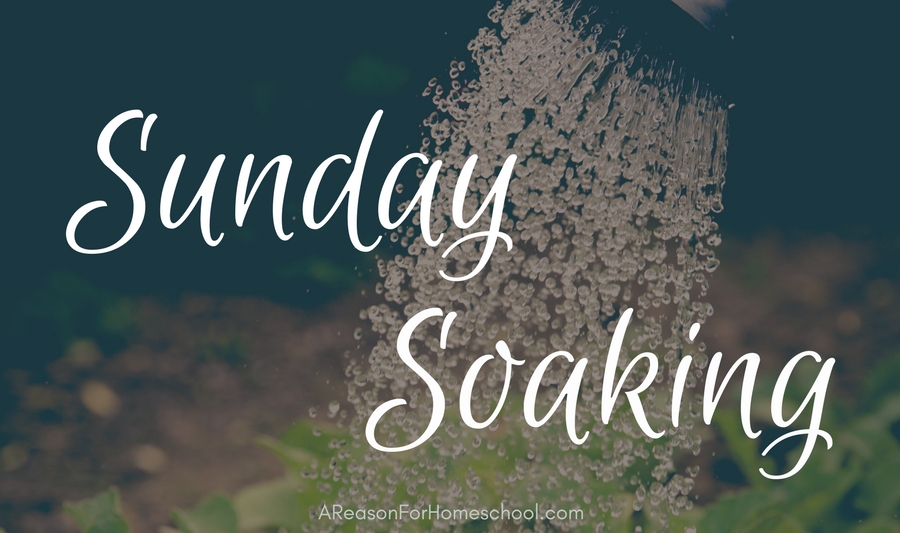 Sunday Soaking devotional