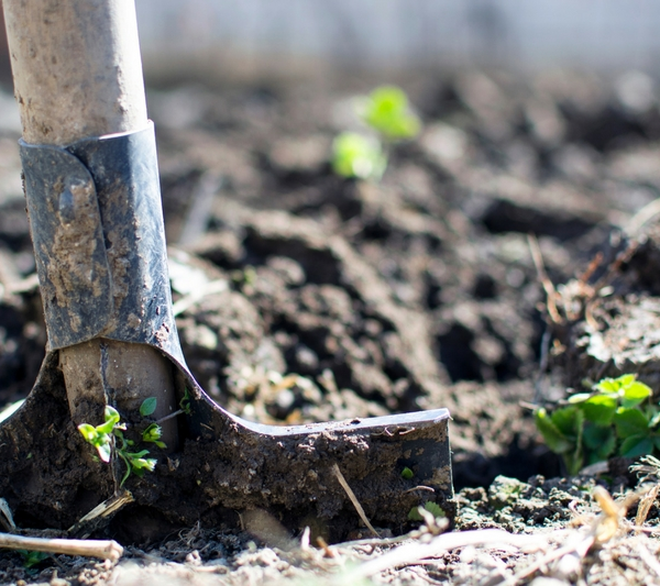 Cultivating A Strong Work Ethic In Our Children