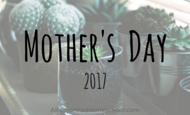 Mother's Day 2017 Container Garden Craft