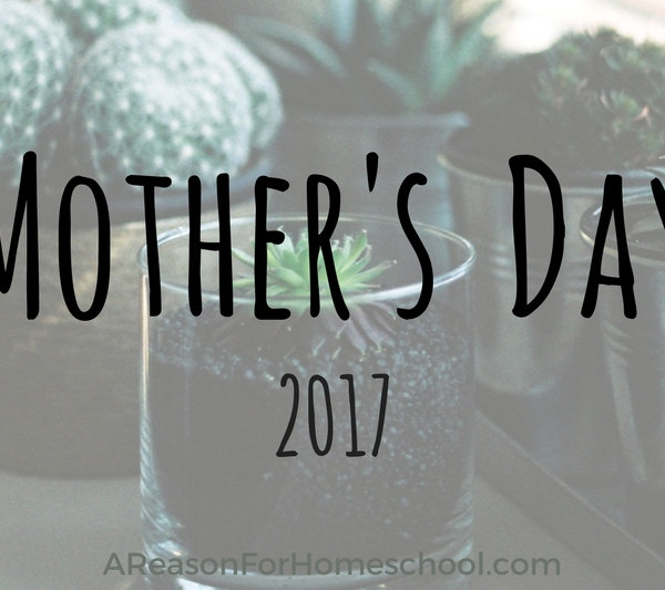 Mother's Day 2017 Container Garden Craft