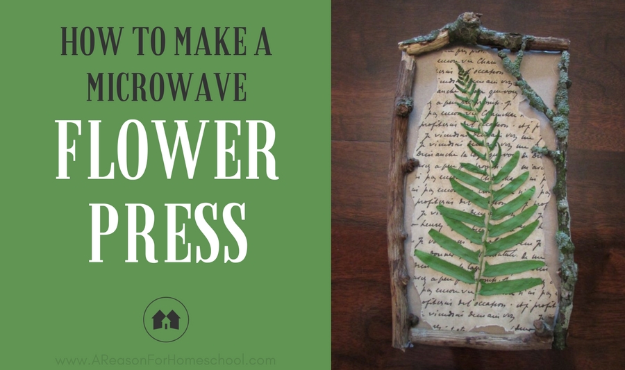 Nature Notes: Making A Microwave Flower Press - A Reason For Homeschool