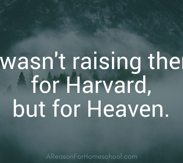 Homeschooling: Next Year I'll Be Different