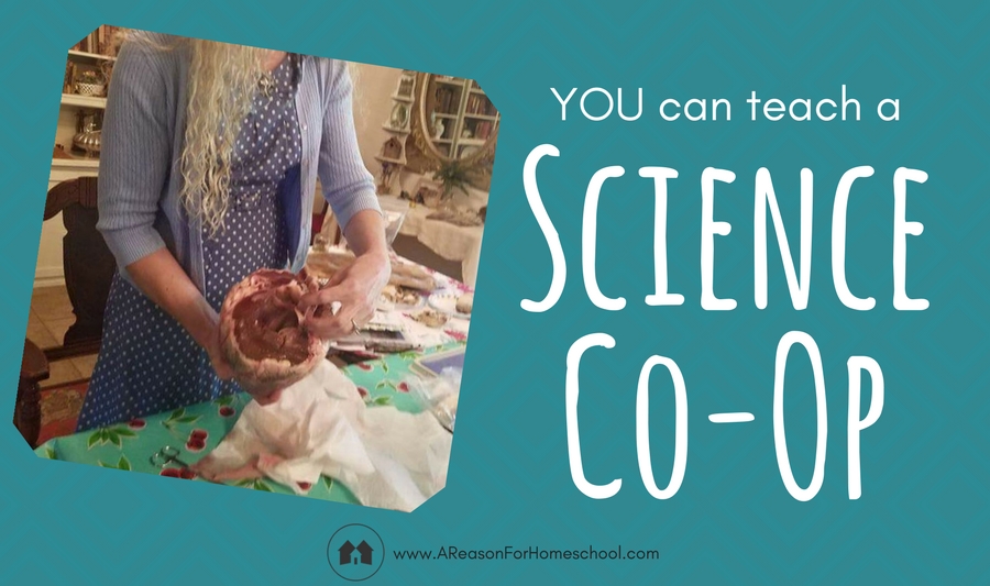 homeschool homeschooling science co-op dissection biology