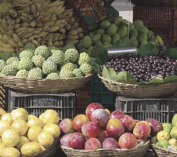 raw food diet vegetables fruits homeschool homeschooling