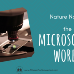 microscope homeschool homeschooling nature notes
