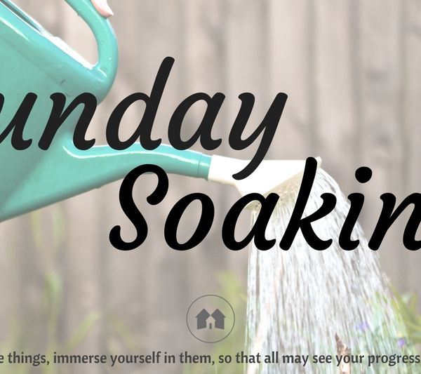 homeschool homeschooling devotional Sunday Soaking