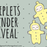 triplets parenting pregnancy homeschool homeschooling family