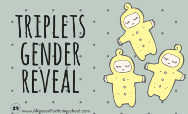 triplets parenting pregnancy homeschool homeschooling family