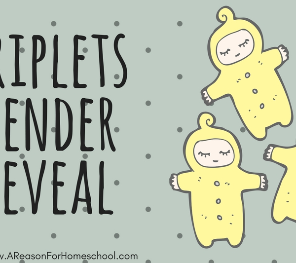 triplets parenting pregnancy homeschool homeschooling family