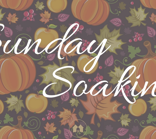 Sunday Soaking homeschool homeschooling harvest devotional