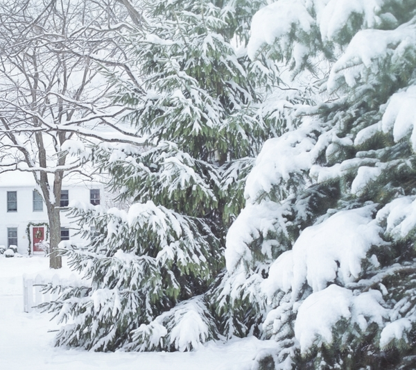 favorite Christmas traditions homeschool homeschooling