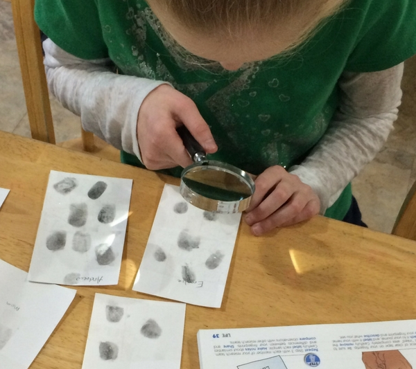 fingerprinting science experiments homeschool homeschooling