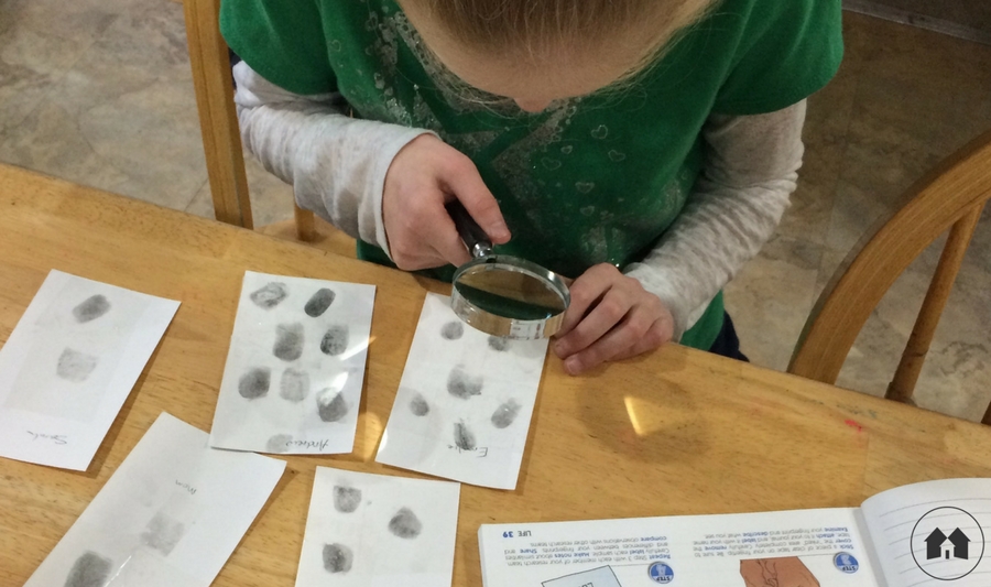 fingerprinting science experiments homeschool homeschooling