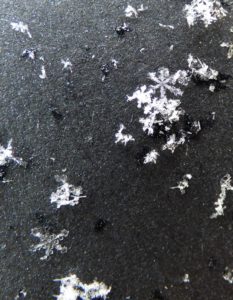 snowflakes science nature homeschool homeschooling