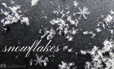 snow snowflakes crystals homeschool homeschooling nature