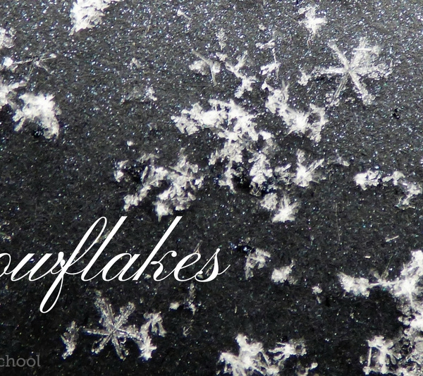 snow snowflakes crystals homeschool homeschooling nature
