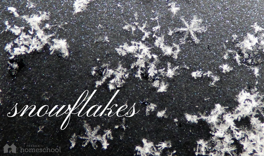 snow snowflakes crystals homeschool homeschooling nature