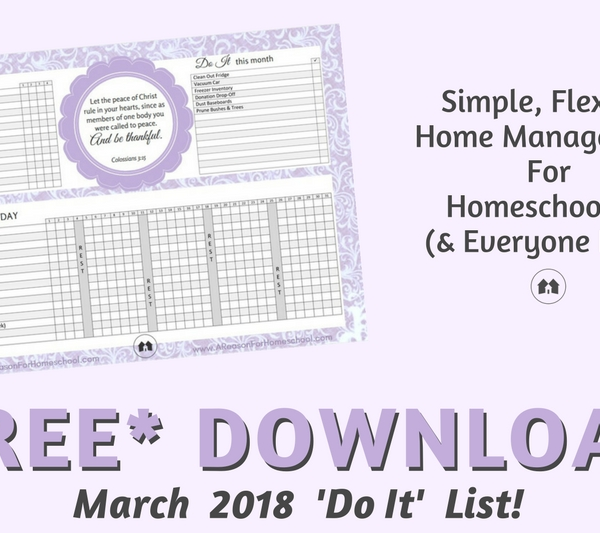 cleaning organization homeschool homeschooling