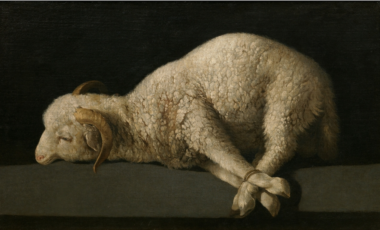 Lamb of God by Francisco de Zurbarán