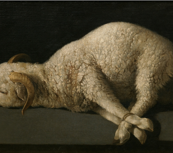 Lamb of God by Francisco de Zurbarán
