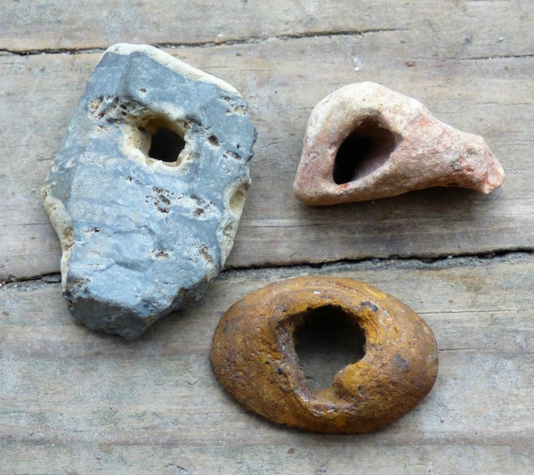 seeing stones nature notebook homeschool homeschooling