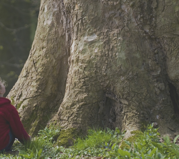 national love a tree day nature homeschooling