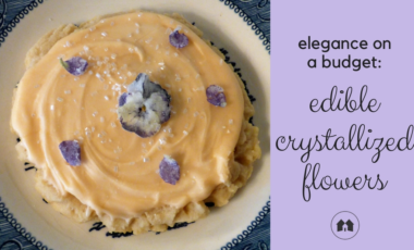 creating edible crystalized flowers at home