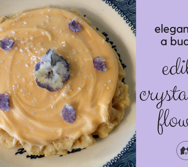 creating edible crystalized flowers at home