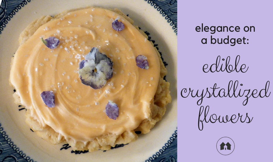 creating edible crystalized flowers at home