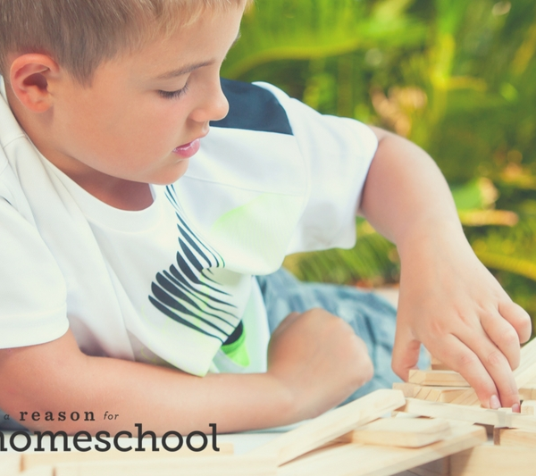 Montessori Method homeschool homeschooling multi-age