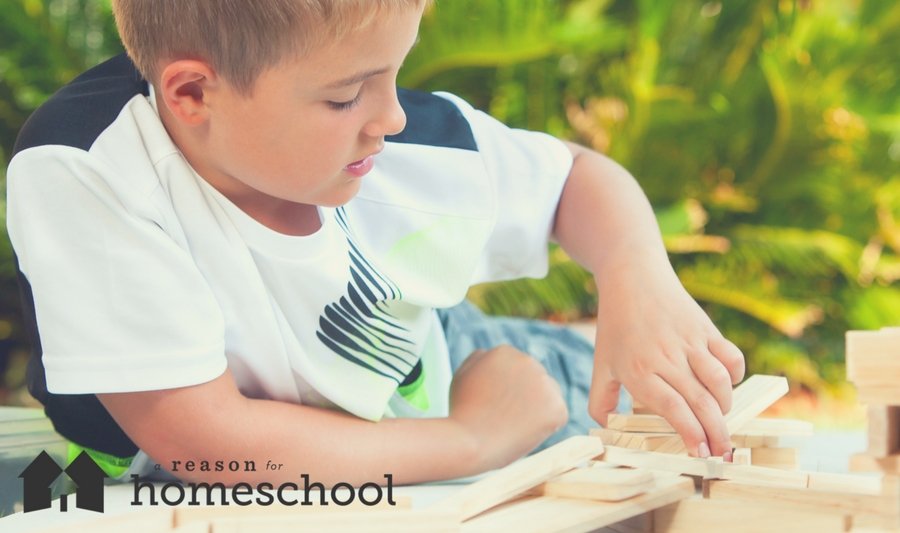 Montessori Method homeschool homeschooling multi-age