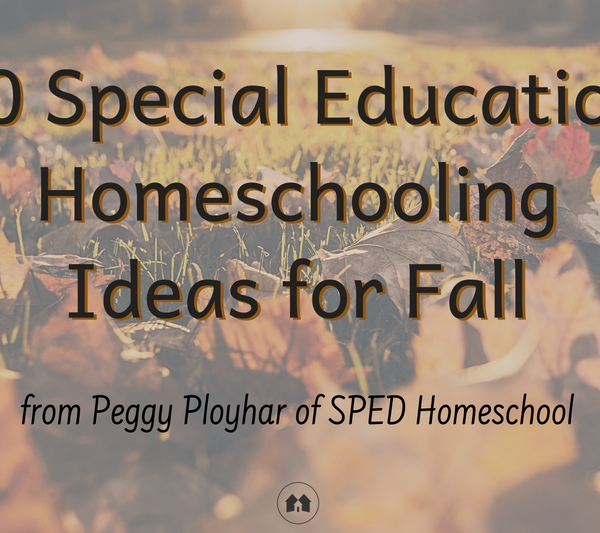 fall activities ideas special education homeschool homeschooling
