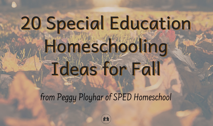 fall activities ideas special education homeschool homeschooling